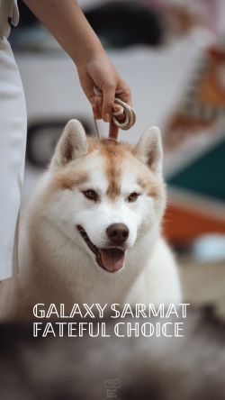 Galaxy sarmat fateful choice