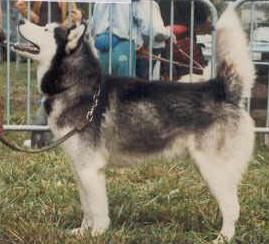 ANUK
