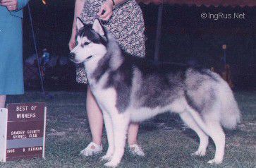 FOXLAIR'S KISKA