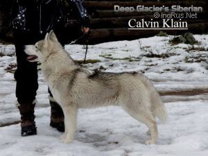 DEEPGLACIER CALVIN KLAIN