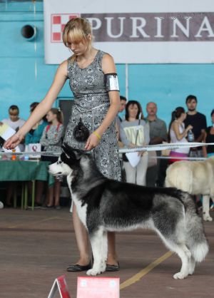 OKAMI HEEN