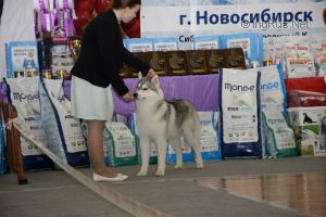 HYPERBOREA TANTUM WOLF SPIRIT