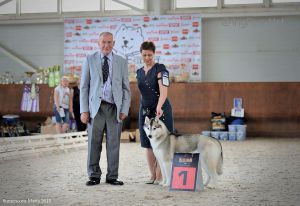 SVOBODNAYA STAYA  ORIZOL'DA QUEEN
