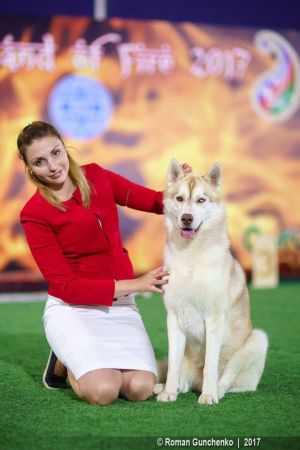 SNEZHNAYA LYUBOV REYMON SUNSHINE BEBY