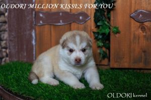 OLDORI MILLION KISSES FOR YOU