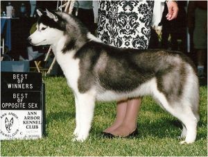 JO-KAR'S FURGALICIOUS