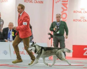 FAME AND FORTUNE STAR'N NORDICA