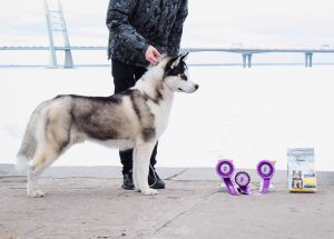 PERSEY LEGENDA NASHEGO VREMENI