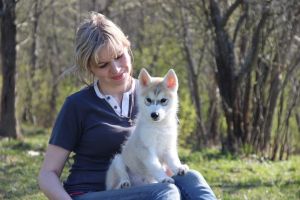 FOREST ENERGY GEFESTION