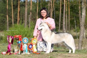OLGIVAN SHOW FORTUNE COOKIE FOR ARKTIKA