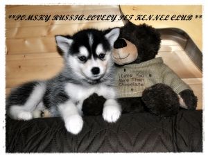 PR. LAVELY PET ZHANNY